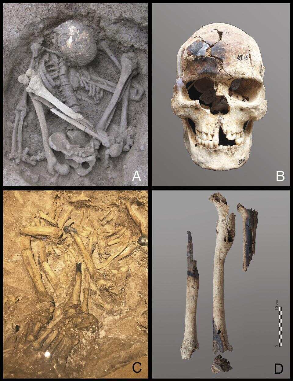 皇冠信用网登1_东南亚惊现1.2万年前木乃伊皇冠信用网登1,或是世界上已知最古老木乃伊;此前,埃及木乃伊广为人知