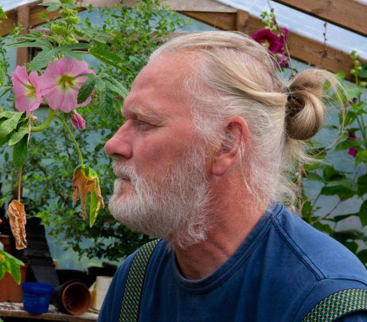 皇冠信用网代理
_两只雌蚊和一只雄蚊被发现皇冠信用网代理
，全球最后一个无蚊国冰岛“沦陷”