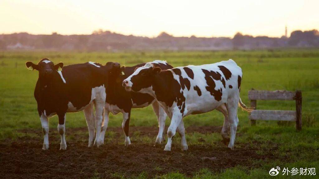 外围买球app十大平台
_当液态奶触达天花板：伊利的下一个“金典”在哪里外围买球app十大平台
？