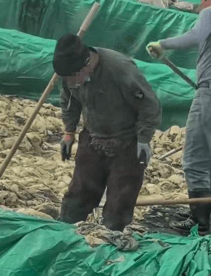 皇冠信用網出租足球
_辽宁葫芦岛一男子酸菜池中抽烟吐痰皇冠信用網出租足球
，曝光视频令人反胃！省市两级市监介入