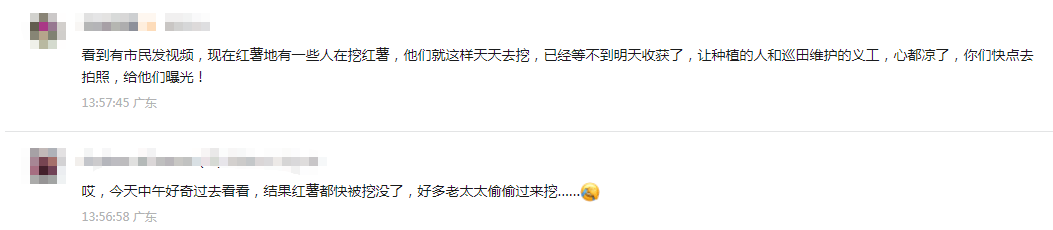 皇冠信用網结算日
_深圳市中心竟有一大片“红薯地”皇冠信用網结算日
!官方紧急提醒:请勿私挖