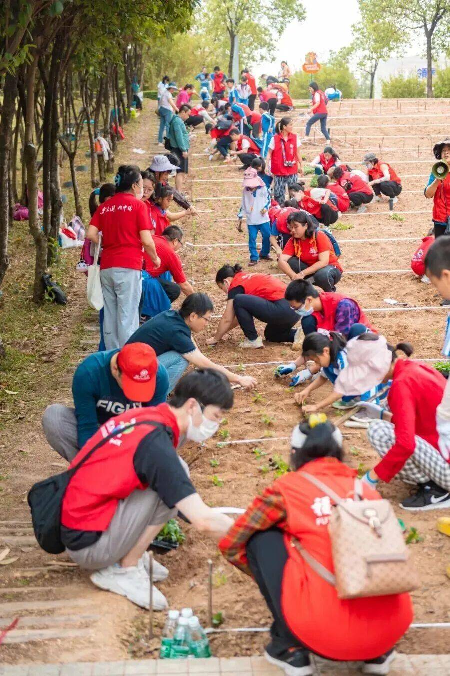 皇冠信用網结算日
_深圳市中心竟有一大片“红薯地”皇冠信用網结算日
!官方紧急提醒:请勿私挖