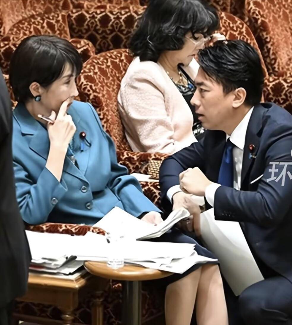 皇冠信用網开户
_小泉进次郎跪地与高市早苗交谈皇冠信用網开户
,企图为高市发声,遭在野党强烈嘘声