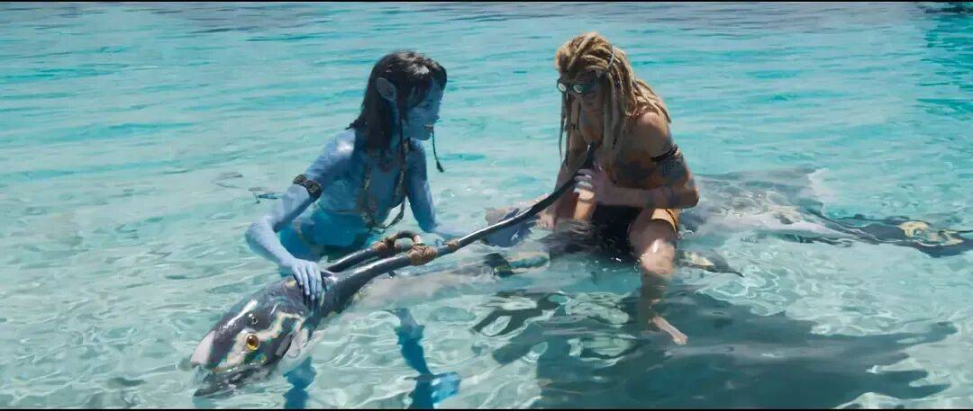 信用平台出租_仿佛又看了一遍《阿凡达2》…票房口碑不及前作的《阿凡达3》真审美疲劳了吗信用平台出租？