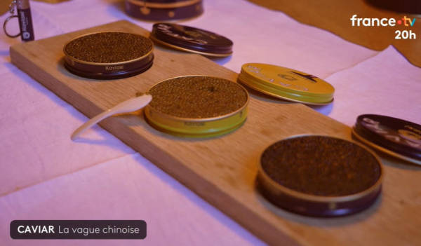 皇冠信用网会员注册网址_“在法国皇冠信用网会员注册网址，可以毫无顾虑地说，这些鱼子酱产自中国”