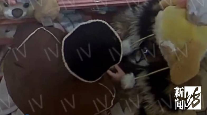 皇冠信用网最新地址_太猖狂！事发上海迪士尼皇冠信用网最新地址，28人全部被抓！