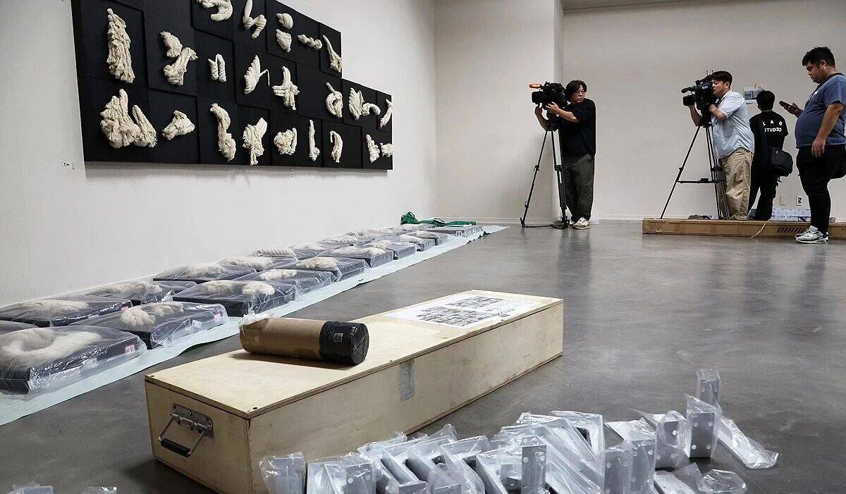 皇冠登3代理申请_韩政府就双年展涉台问题表态:坚持一中立场