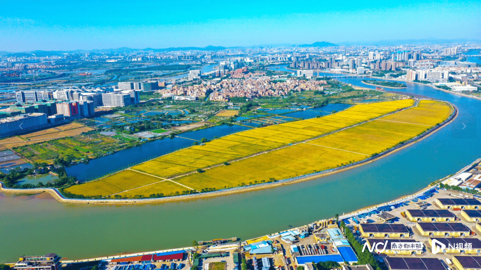 皇冠足球平台代理申请_东莞拟出新规:自愿退出农村宅基地皇冠足球平台代理申请,可获经济补偿