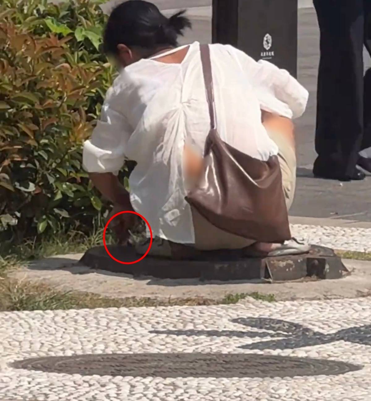 怎么开皇冠信用网_女子形迹可疑四处张望怎么开皇冠信用网，向西安街边雨水井塞入管状不明物品，警方已介入调查