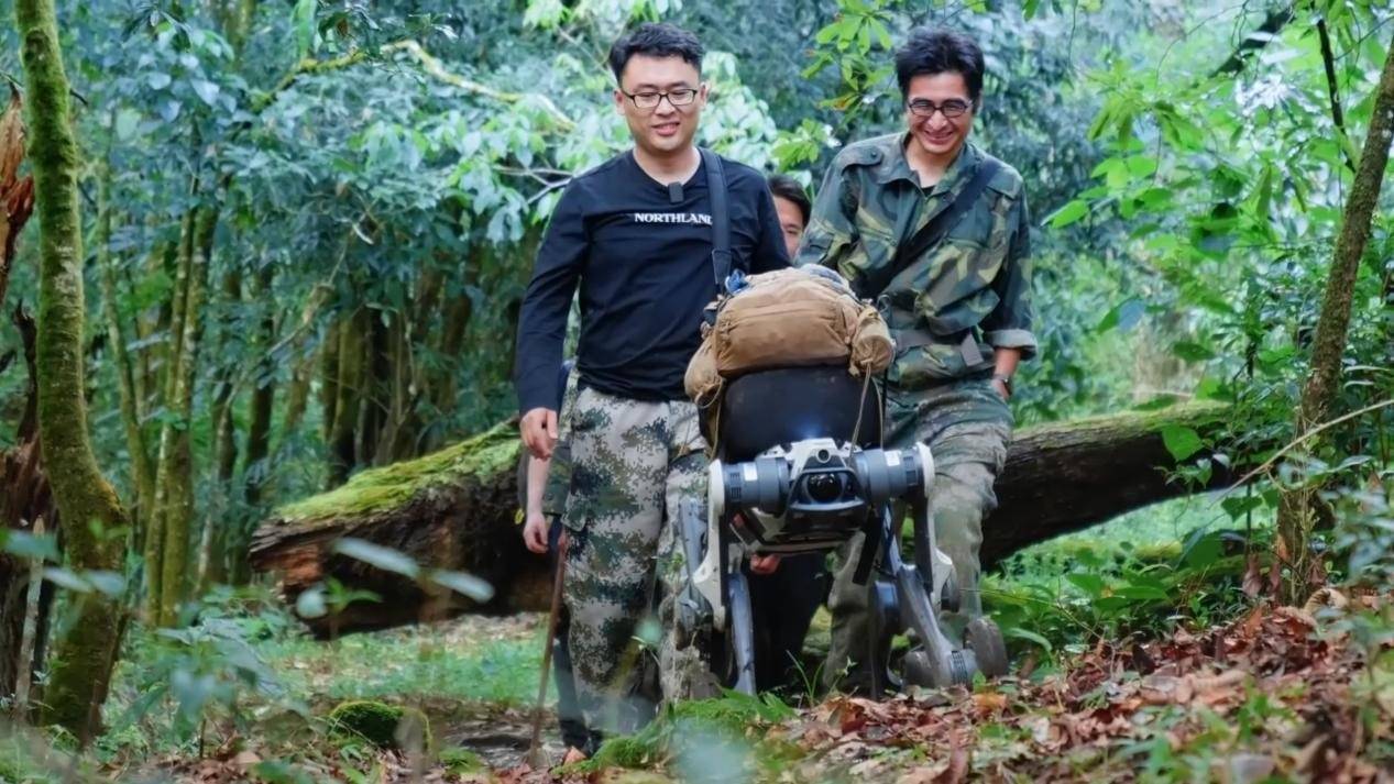 皇冠信用网怎么弄_十里不同天的哀牢山密林里皇冠信用网怎么弄,“机器狗科考队员”拍到了水晶兰